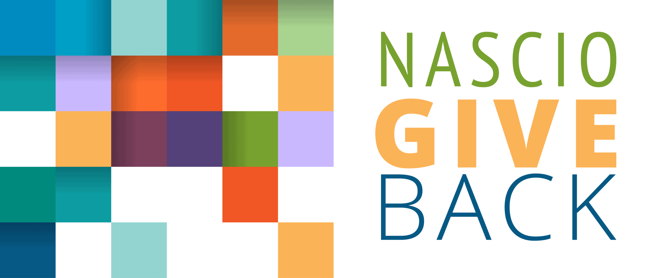 NASCIO Give Back