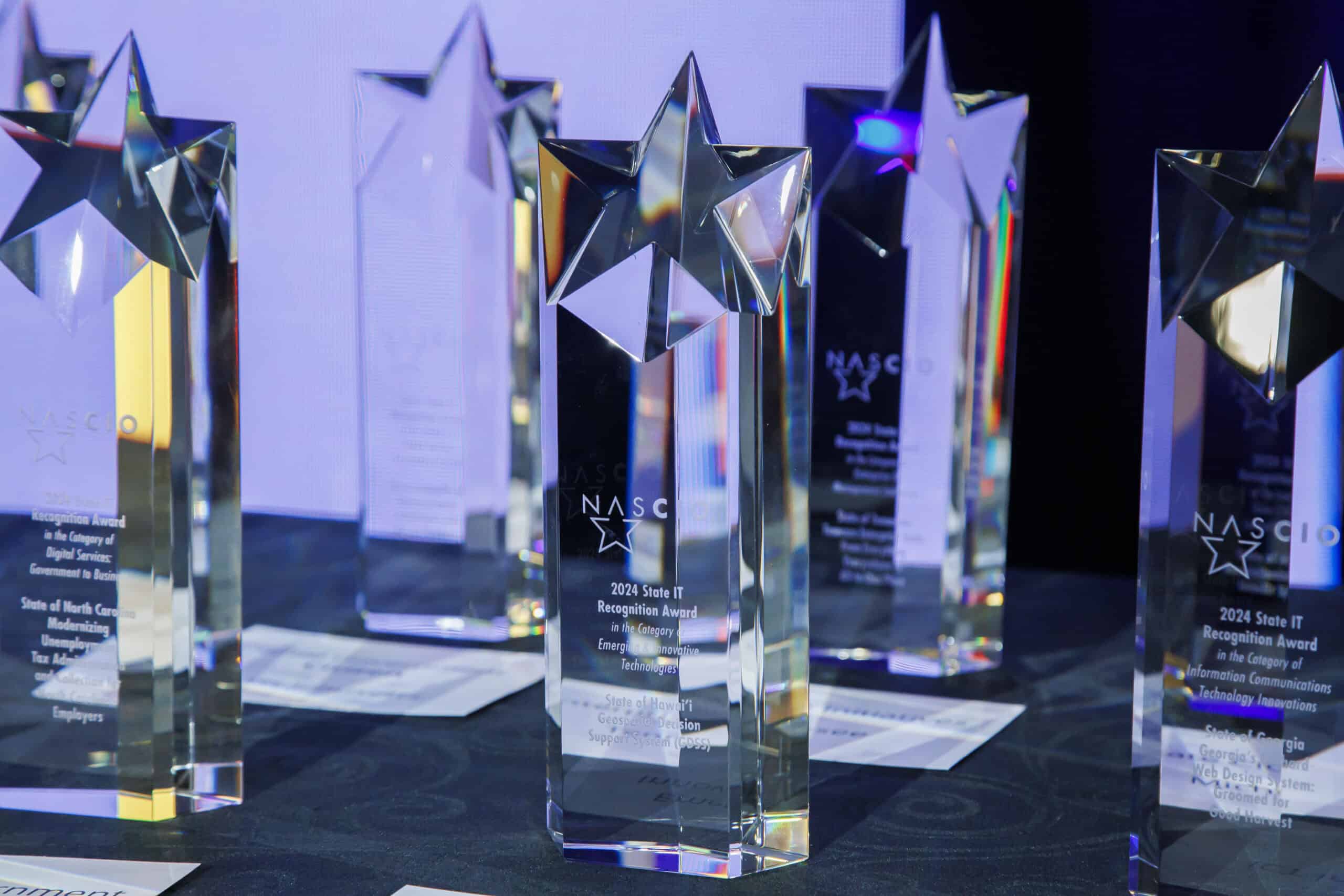 Array of NASCIO awards