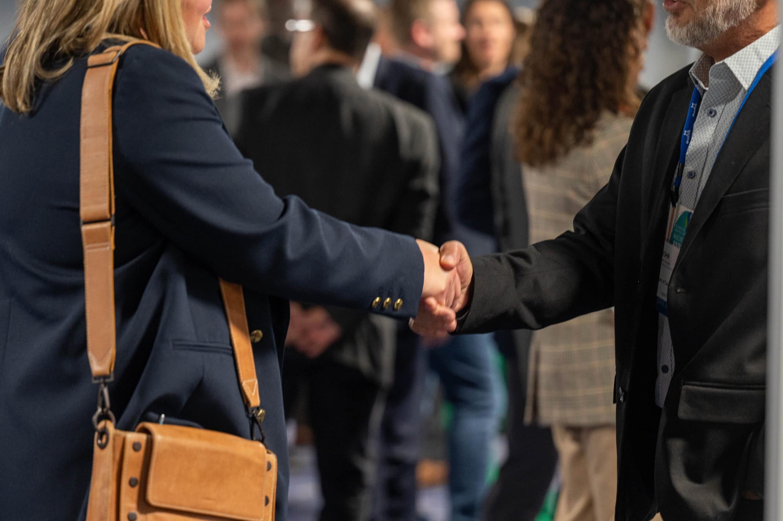 Two professionals shaking hands